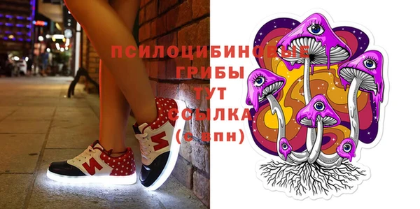 ECSTASY Алексин