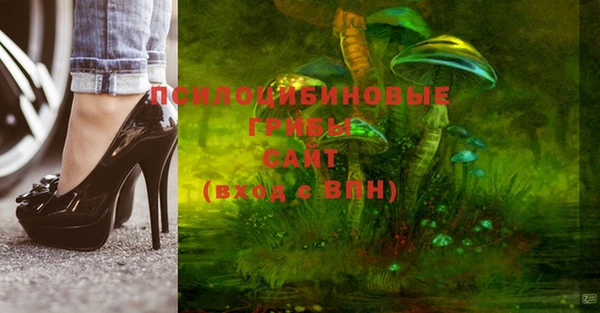 бошки Алзамай
