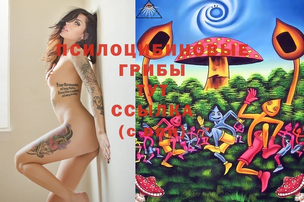 ECSTASY Алексин